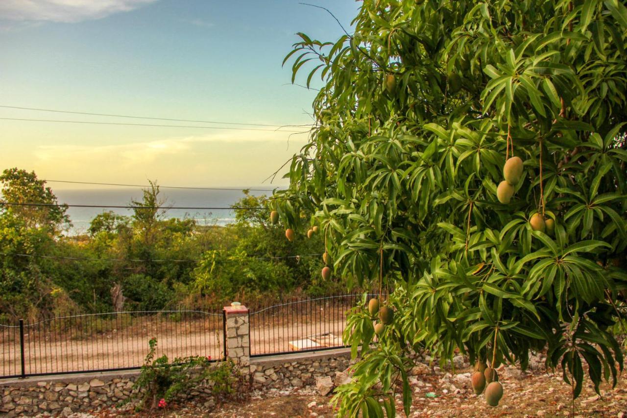 Sunshine Lodge: Your Home Away From Home Montego Bay Exterior photo